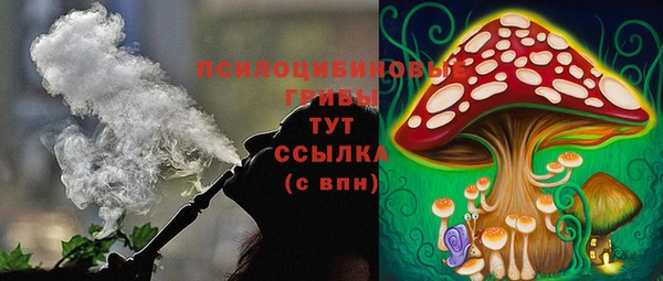 первитин Кодинск