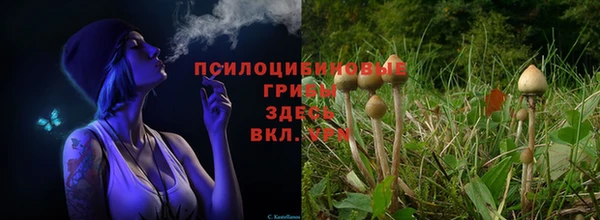 каннабис Козельск